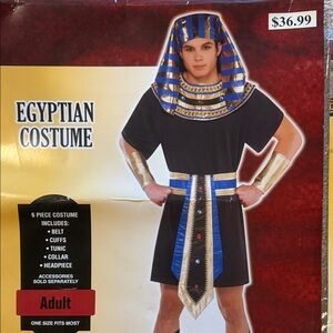 Egyptian Pharaoh Men’s Costume - Black and Gold